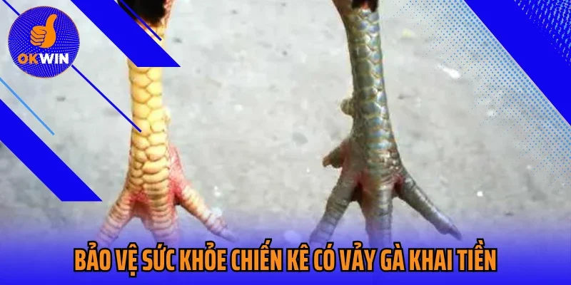 Bảo vệ sức khỏe chiến kê có vảy gà khai tiền
