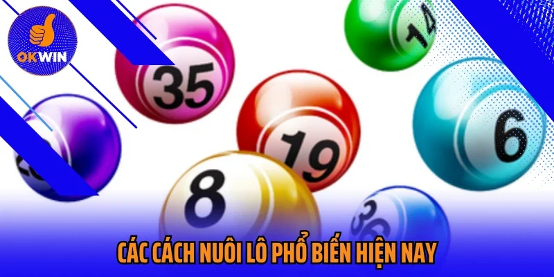 Các cách nuôi lô phổ biến hiện nay