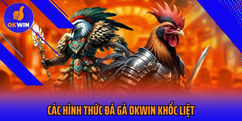 Các hình thức đá gà Okwin khốc liệt