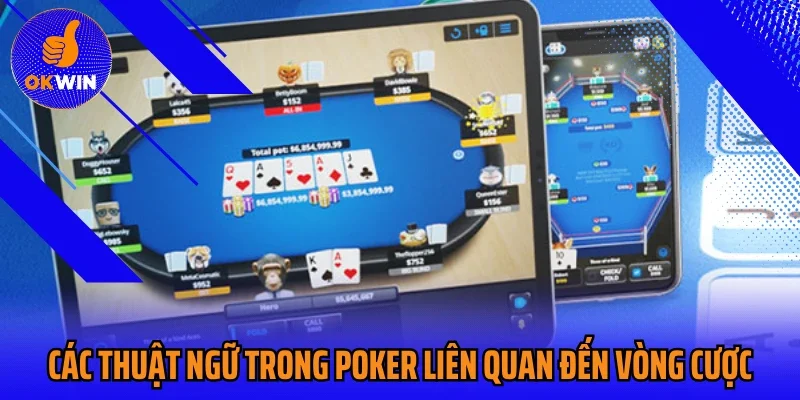 Các thuật ngữ trong Poker liên quan đến vòng cược