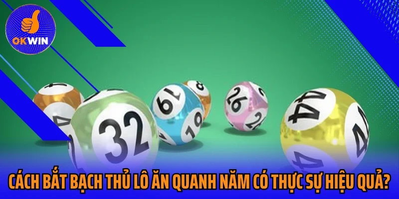 Cách bắt bạch thủ lô ăn quanh năm có thực sự hiệu quả?