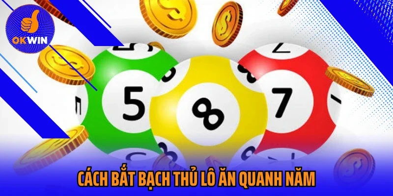 Cách Bắt Bạch Thủ Lô Ăn Quanh Năm Bí Kíp Soi Cầu Chuẩn Xác