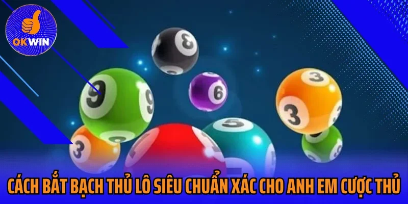 Cách bắt bạch thủ lô siêu chuẩn xác cho anh em cược thủ