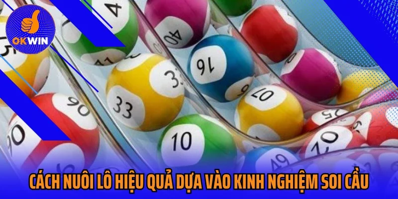 Cách nuôi lô hiệu quả dựa vào kinh nghiệm soi cầu