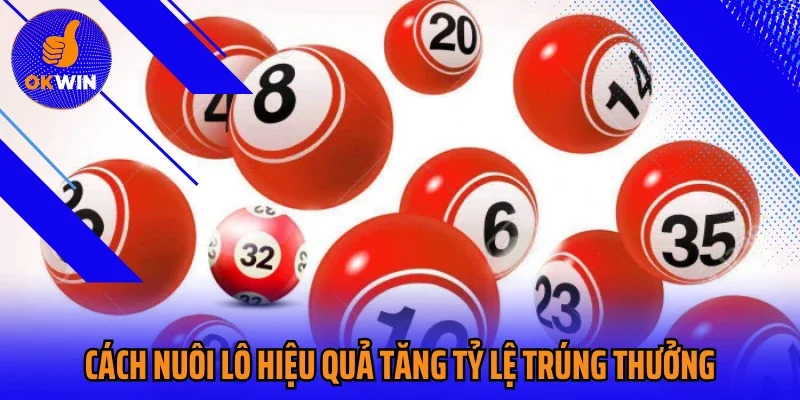 Cách Nuôi Lô Hiệu Quả Tăng Tỷ Lệ Trúng Thưởng Cực Uy Tín
