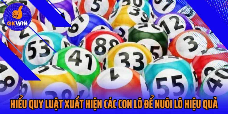 Hiểu quy luật xuất hiện các con lô để nuôi lô hiệu quả