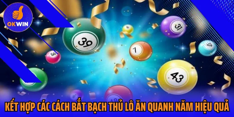 Kết hợp các cách bắt bạch thủ lô ăn quanh năm hiệu quả