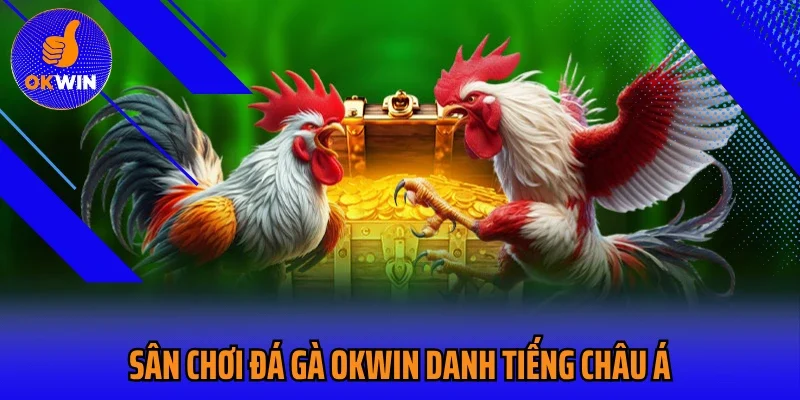 Sân chơi đá gà Okwin danh tiếng châu Á