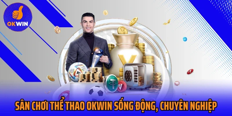Sân chơi thể thao Okwin sống động, chuyên nghiệp