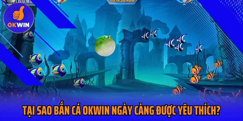 Tại sao bắn cá OKWIN ngày càng được yêu thích?