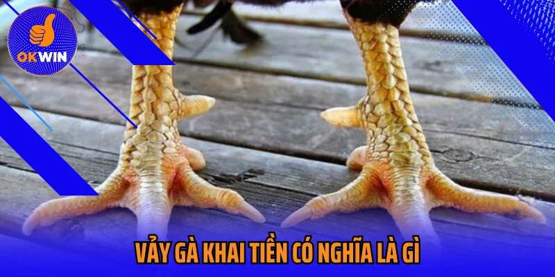 Vảy gà khai tiền có nghĩa là gì