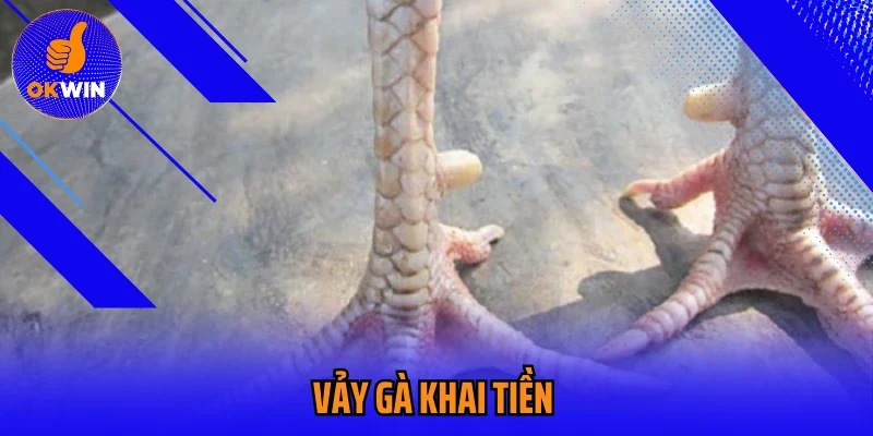 Vảy Gà Khai Tiền Okwin Bí Kíp Nhận Biết Chiến Kê Tài Năng